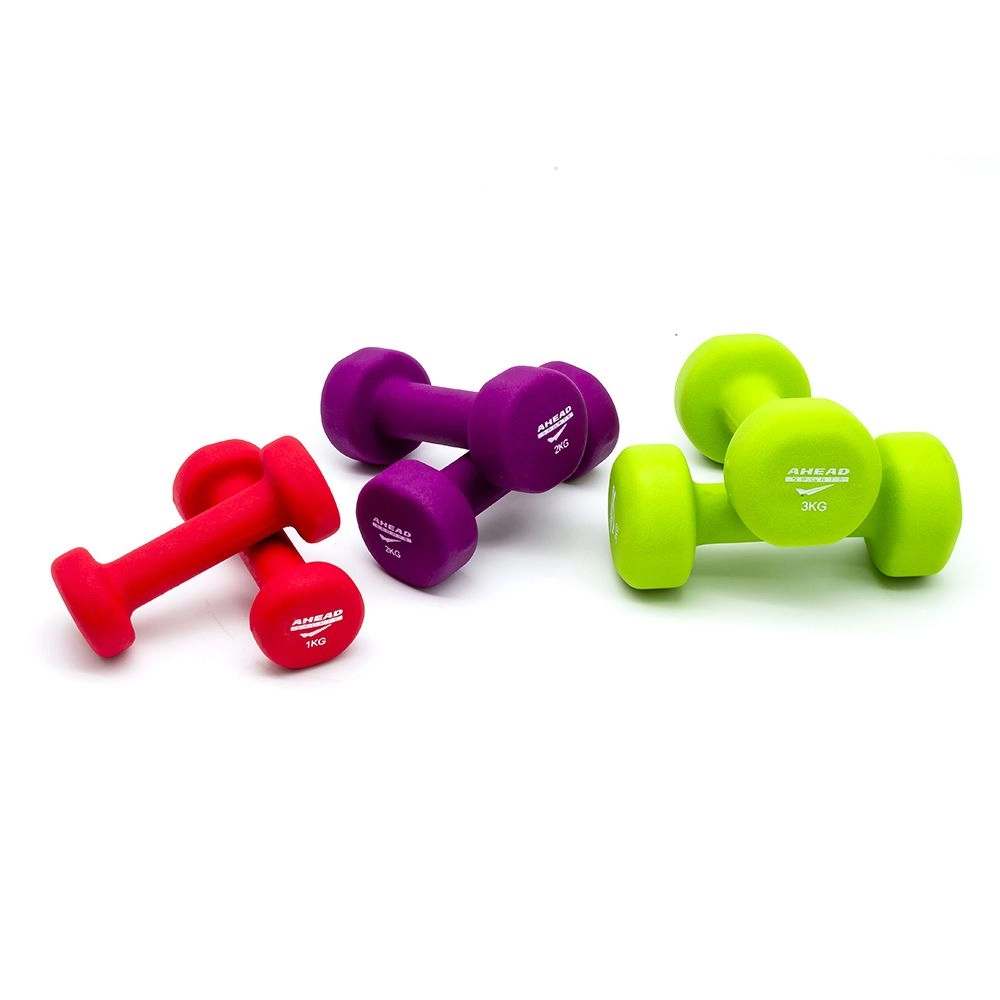 Kit Halteres 3 Unidades + Suporte 12kg Colorido
