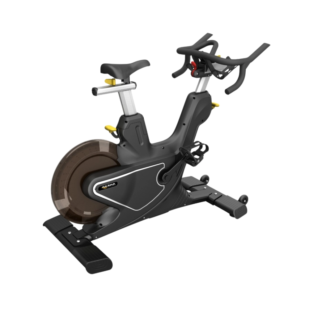Bicicleta Spinning Magnética Ergométrica Profissional Ahead Sports