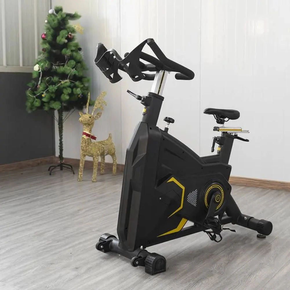 Bicicleta Spinning Ergométrica Absolute Ahead Sports